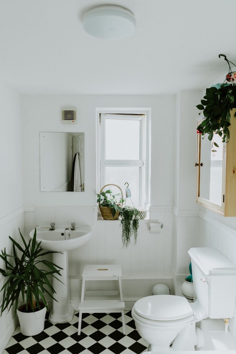 Baño biofílico: plantas, luz natural y materiales orgánicos para reconectar
